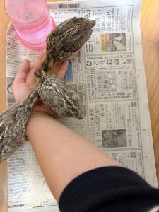 OITAリノベ わさだタウン店横山がおすすめする中古住宅！にじが丘2丁目、室内広々、駐車場広々、小学校まで徒歩約4分とファミリーにもおすすめ☆